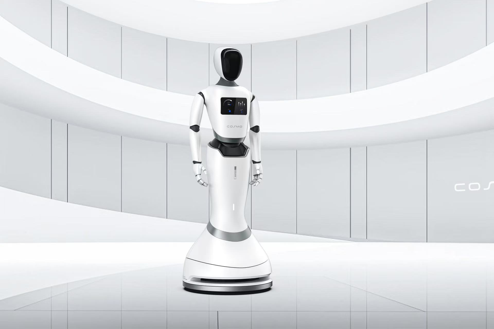 人形機(jī)器人(圖4)