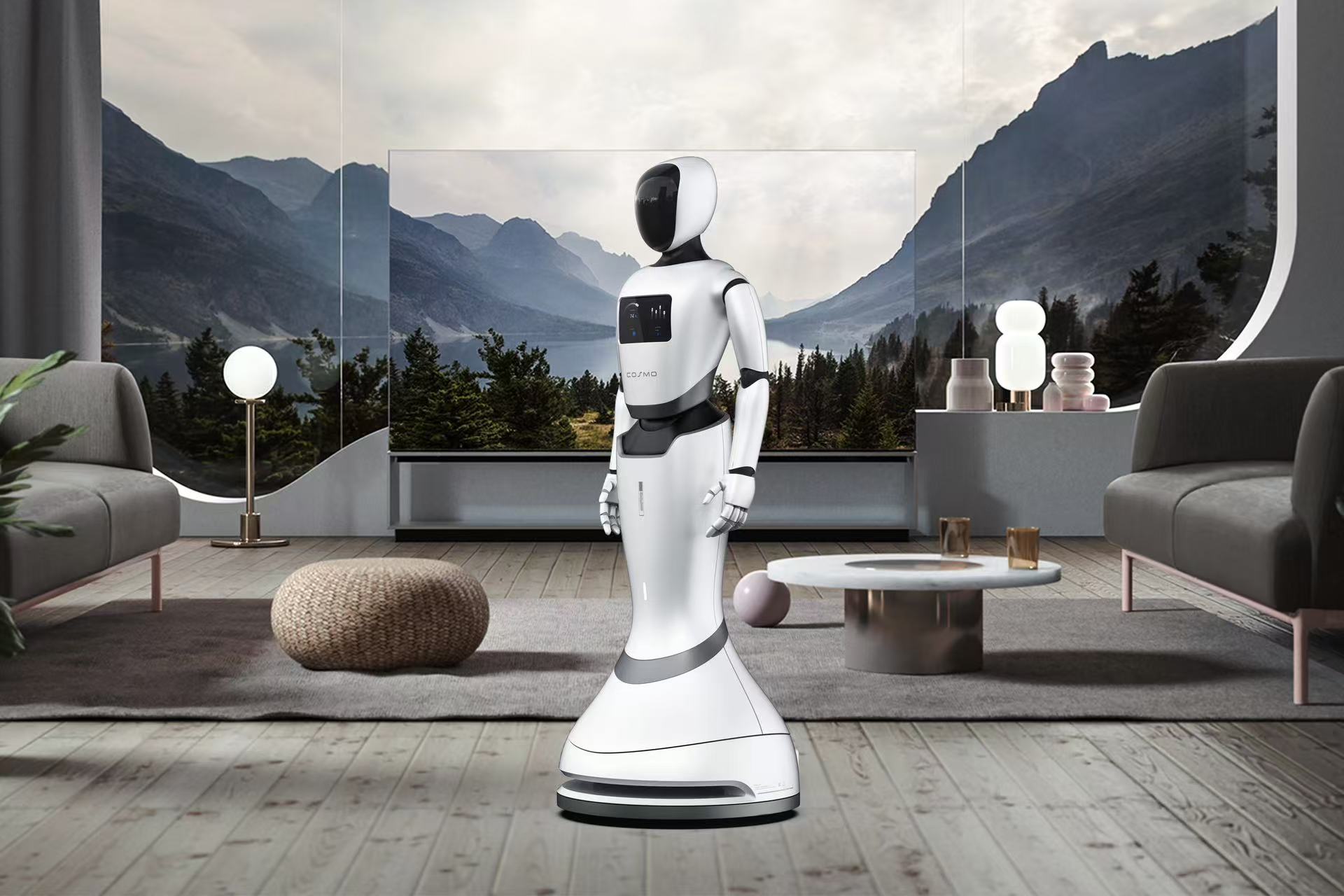 人形機(jī)器人(圖3)